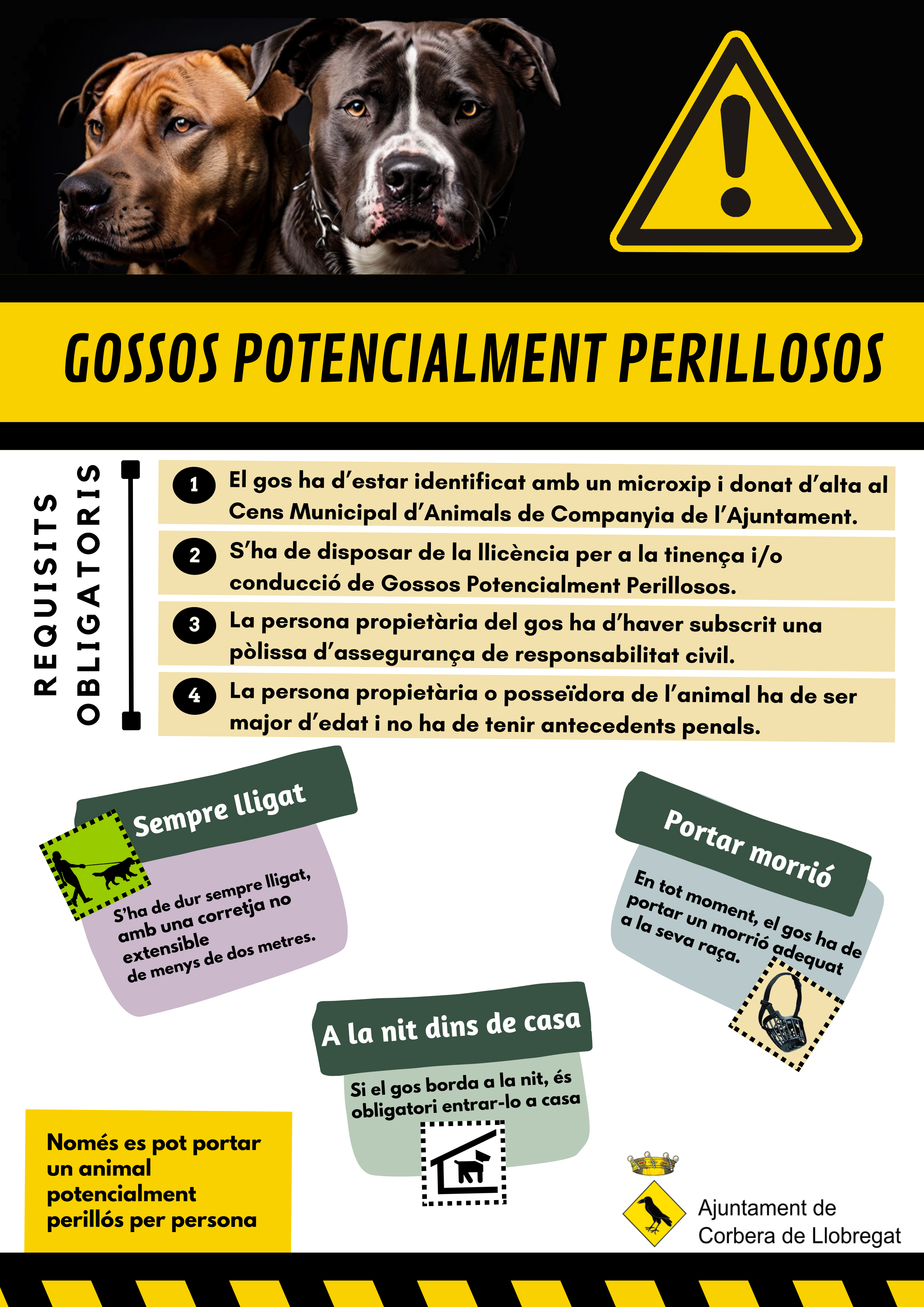 Tinença responsable d'animals de companyia